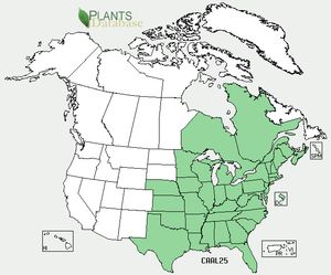 USDA, NRCS. 2012. The PLANTS Database (http://plants.usda.gov, 5 December 2012). National Plant Data Team, Greensboro, NC 27401-4901 USA.