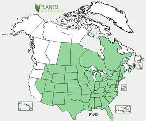 USDA, NRCS. 2012. The PLANTS Database (http://plants.usda.gov, 9 October 2012). National Plant Data Team, Greensboro, NC 27401-4901 USA.