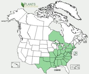 USDA, NRCS. 2012. The PLANTS Database (http://plants.usda.gov, 5 December 2012). National Plant Data Team, Greensboro, NC 27401-4901 USA.
