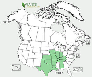 USDA, NRCS. 2014. The PLANTS Database (http://plants.usda.gov, 22 January 2014). National Plant Data Team, Greensboro, NC 27401-4901 USA.