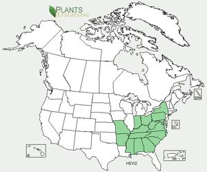 
USDA, NRCS. 2012. The PLANTS Database (http://plants.usda.gov, 8 October 2012). National Plant Data Team, Greensboro, NC 27401-4901 USA.

