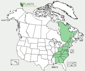 USDA, NRCS. 2012. The PLANTS Database (http://plants.usda.gov, 10 October 2012). National Plant Data Team, Greensboro, NC 27401-4901 USA.