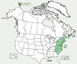 USDA, NRCS. 2012. The PLANTS Database (http://plants.usda.gov, 8 October 2012). National Plant Data Team, Greensboro, NC 27401-4901 USA.